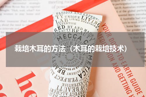 栽培木耳的方法(木耳的栽培技术)