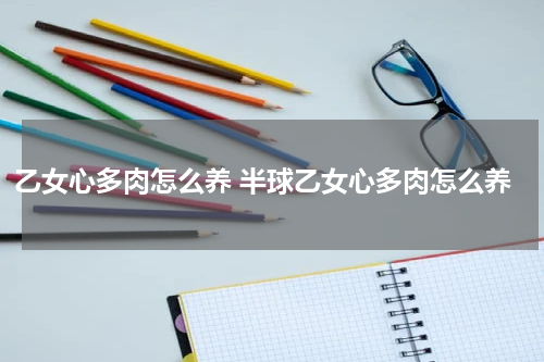 乙女心多肉怎么养 半球乙女心多肉怎么养