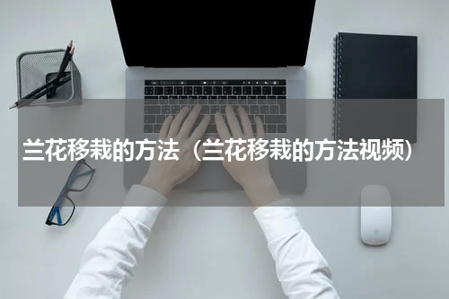 兰花移栽的方法(兰花移栽的方法视频)