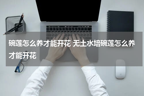 碗莲怎么养才能开花 无土水培碗莲怎么养才能开花