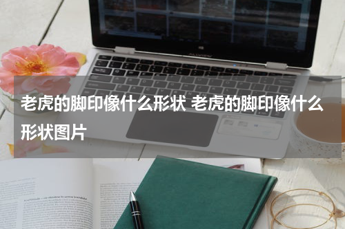 老虎的脚印像什么形状 老虎的脚印像什么形状图片