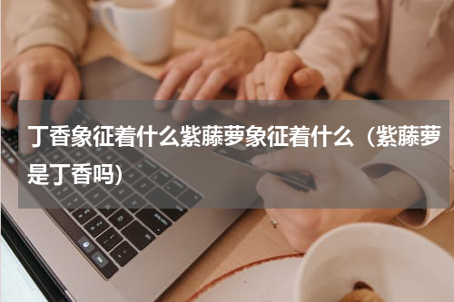 丁香象征着什么紫藤萝象征着什么(紫藤萝是丁香吗)