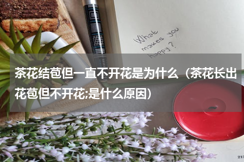 茶花结苞但一直不开花是为什么(茶花长出花苞但不开花;是什么原因)