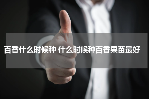 百香什么时候种 什么时候种百香果苗最好