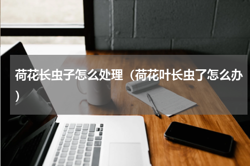 荷花长虫子怎么处理(荷花叶长虫了怎么办)