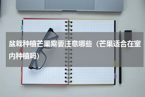 盆栽种植芒果需要注意哪些(芒果适合在室内种植吗)