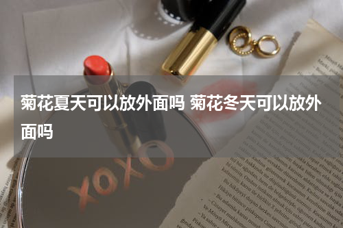 菊花夏天可以放外面吗 菊花冬天可以放外面吗