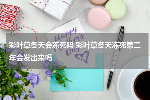 彩叶草冬天会冻死吗 彩叶草冬天冻死第二年会发出来吗