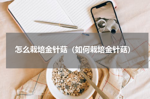 怎么栽培金针菇(如何栽培金针菇)