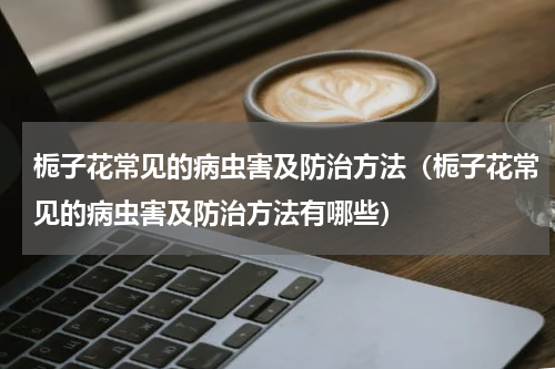 栀子花常见的病虫害及防治方法(栀子花常见的病虫害及防治方法有哪些)