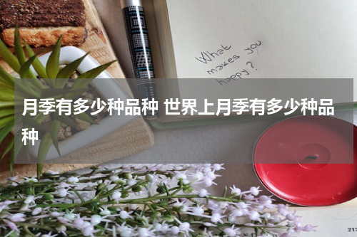 月季有多少种品种 世界上月季有多少种品种