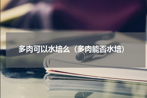 多肉可以水培么(多肉能否水培)