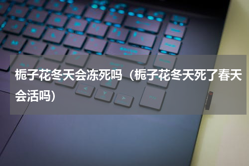 栀子花冬天会冻死吗(栀子花冬天死了春天会活吗)