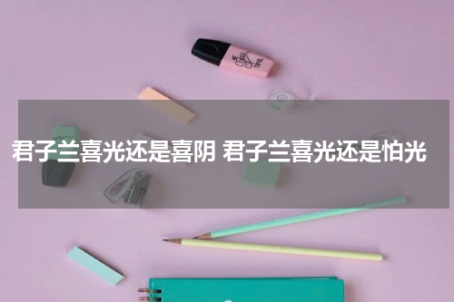 君子兰喜光还是喜阴 君子兰喜光还是怕光