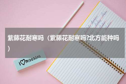 紫藤花耐寒吗(紫藤花耐寒吗?北方能种吗)