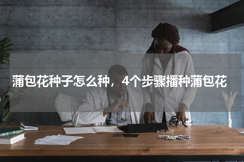 蒲包花种子怎么种,4个步骤播种蒲包花