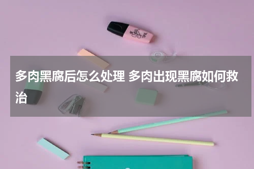 多肉黑腐后怎么处理 多肉出现黑腐如何救治