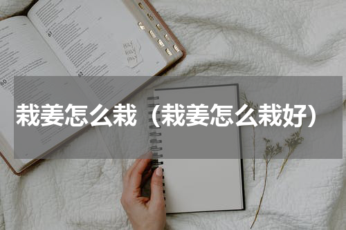 栽姜怎么栽（栽姜怎么栽好）