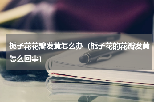 栀子花花瓣发黄怎么办(栀子花的花瓣发黄怎么回事)