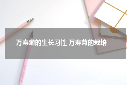 万寿菊的生长习性 万寿菊的栽培