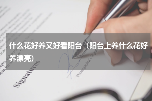 什么花好养又好看阳台(阳台上养什么花好养漂亮)