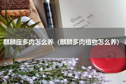 麒麟座多肉怎么养(麒麟多肉植物怎么养)